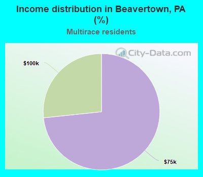 Income distribution in Beavertown, PA (%)
