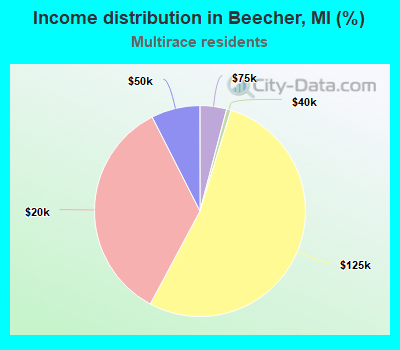 Income distribution in Beecher, MI (%)