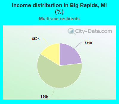 Income distribution in Big Rapids, MI (%)