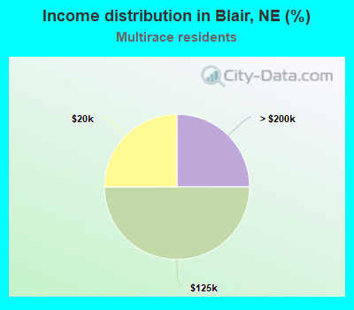 Income distribution in Blair, NE (%)