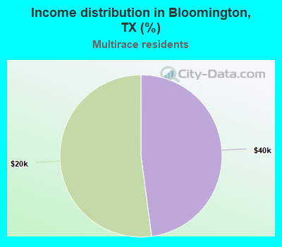 Income distribution in Bloomington, TX (%)