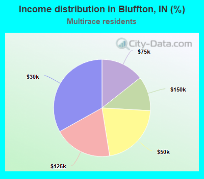 Income distribution in Bluffton, IN (%)