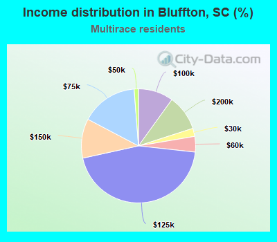 Income distribution in Bluffton, SC (%)