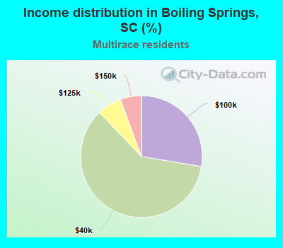 Income distribution in Boiling Springs, SC (%)