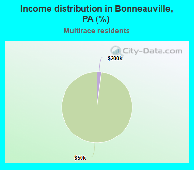 Income distribution in Bonneauville, PA (%)