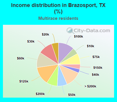 Income distribution in Brazosport, TX (%)