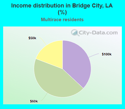 Income distribution in Bridge City, LA (%)