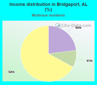 Income distribution in Bridgeport, AL (%)