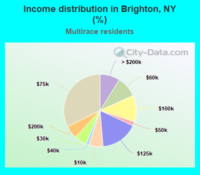 Income distribution in Brighton, NY (%)