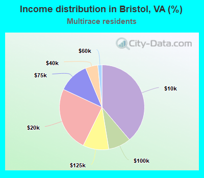 Income distribution in Bristol, VA (%)
