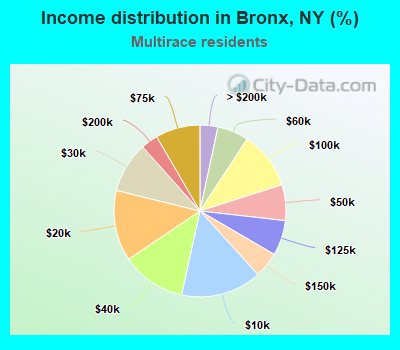 Income distribution in Bronx, NY (%)