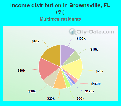 Income distribution in Brownsville, FL (%)