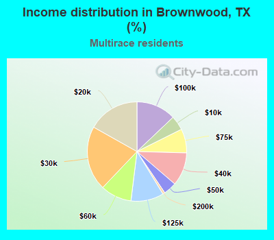 Income distribution in Brownwood, TX (%)