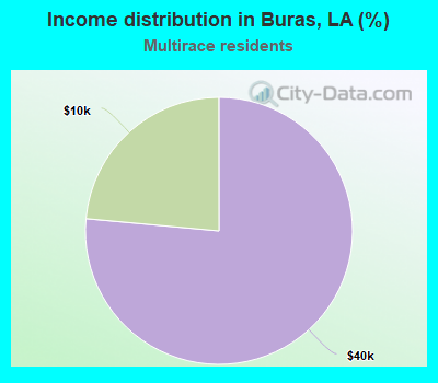 Income distribution in Buras, LA (%)