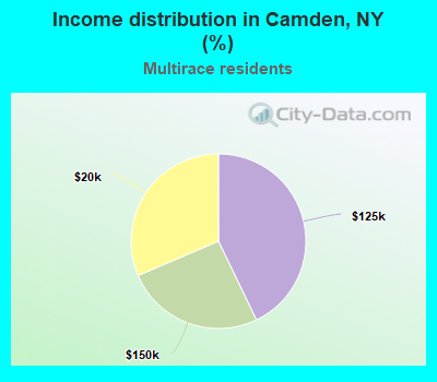 Income distribution in Camden, NY (%)