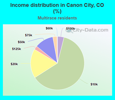 Income distribution in Canon City, CO (%)