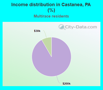 Income distribution in Castanea, PA (%)