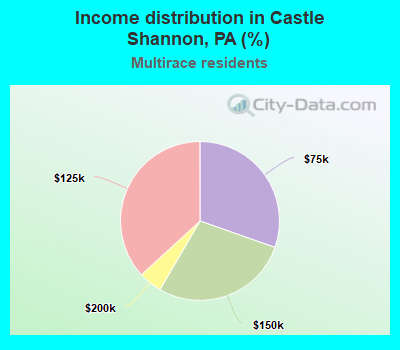 Income distribution in Castle Shannon, PA (%)