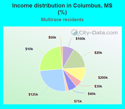 Income distribution in Columbus, MS (%)