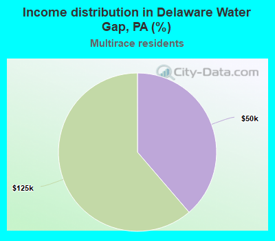 Income distribution in Delaware Water Gap, PA (%)