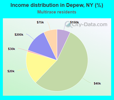 Income distribution in Depew, NY (%)