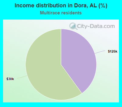 Income distribution in Dora, AL (%)
