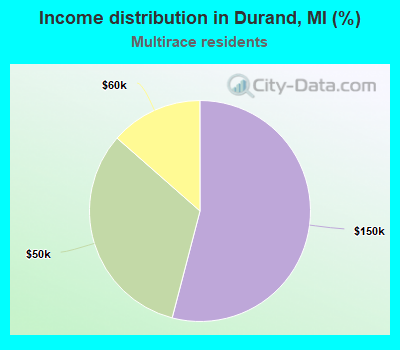 Income distribution in Durand, MI (%)