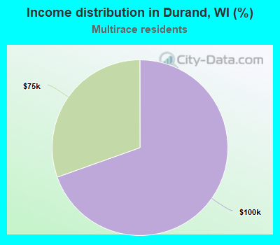 Income distribution in Durand, WI (%)