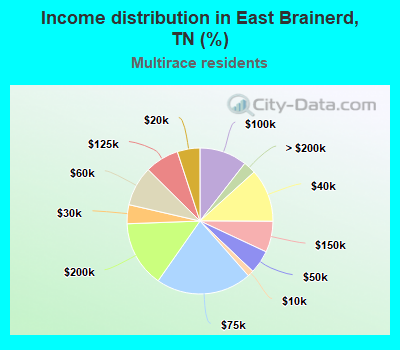 Income distribution in East Brainerd, TN (%)