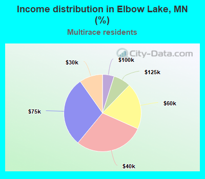 Income distribution in Elbow Lake, MN (%)