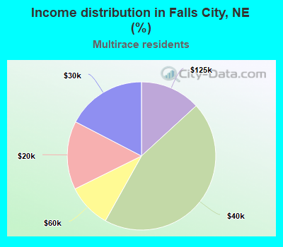 Income distribution in Falls City, NE (%)