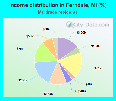 Income distribution in Ferndale, MI (%)