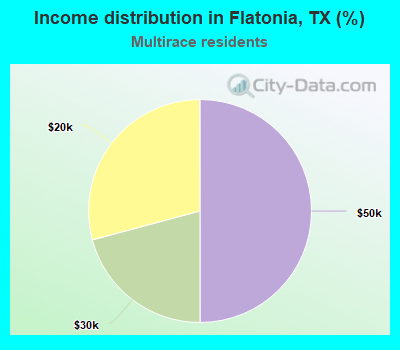 Income distribution in Flatonia, TX (%)