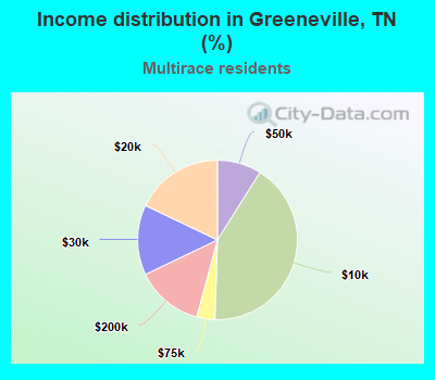 Income distribution in Greeneville, TN (%)