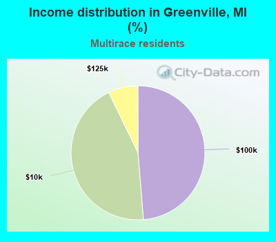 Income distribution in Greenville, MI (%)