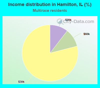 Income distribution in Hamilton, IL (%)
