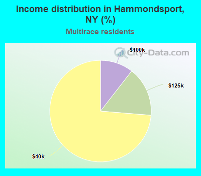 Income distribution in Hammondsport, NY (%)