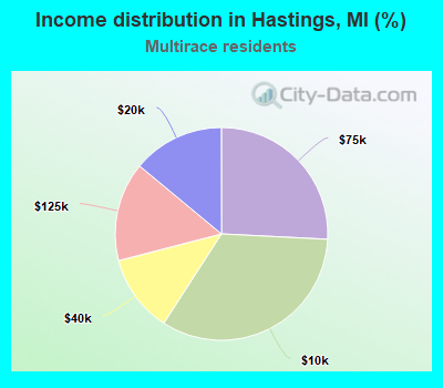 Income distribution in Hastings, MI (%)