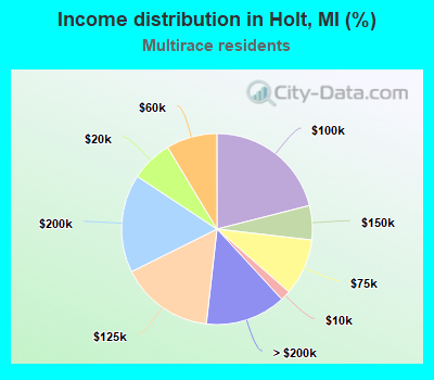 Income distribution in Holt, MI (%)
