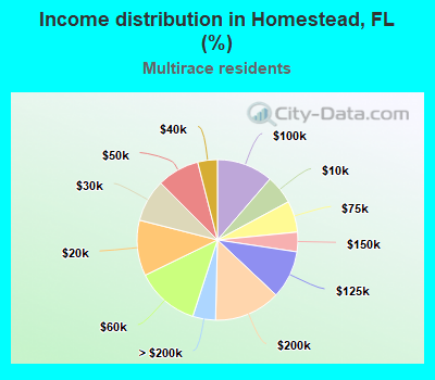 Income distribution in Homestead, FL (%)
