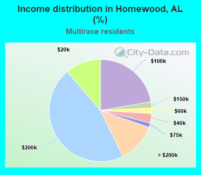 Income distribution in Homewood, AL (%)