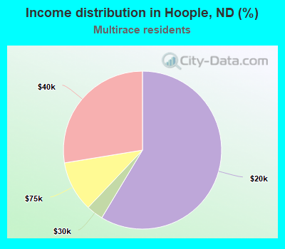 Income distribution in Hoople, ND (%)
