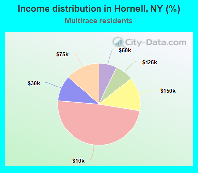 Income distribution in Hornell, NY (%)