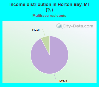 Income distribution in Horton Bay, MI (%)