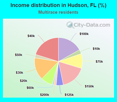 Income distribution in Hudson, FL (%)