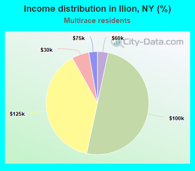 Income distribution in Ilion, NY (%)