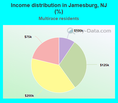 Income distribution in Jamesburg, NJ (%)