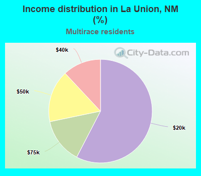 Income distribution in La Union, NM (%)