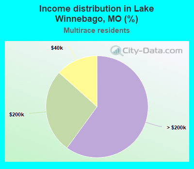 Income distribution in Lake Winnebago, MO (%)