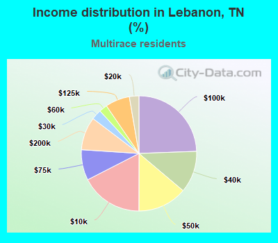 Income distribution in Lebanon, TN (%)